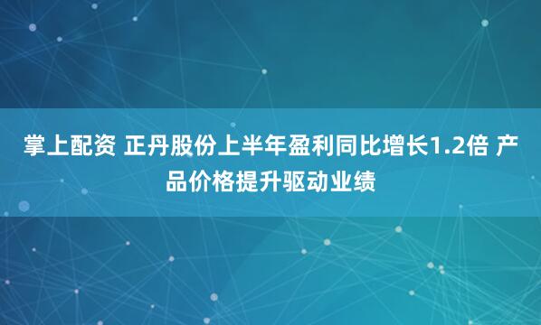 掌上配资 正丹股份上半年盈利同比增长1.2倍 产品价格提升驱动业绩