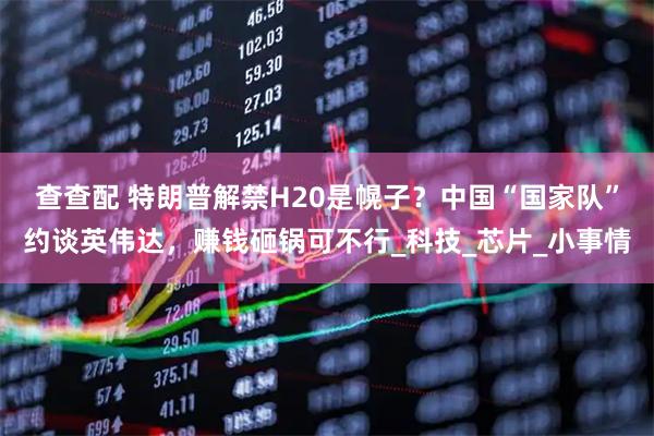 查查配 特朗普解禁H20是幌子？中国“国家队”约谈英伟达，赚钱砸锅可不行_科技_芯片_小事情