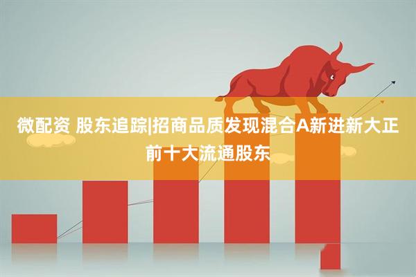 微配资 股东追踪|招商品质发现混合A新进新大正前十大流通股东