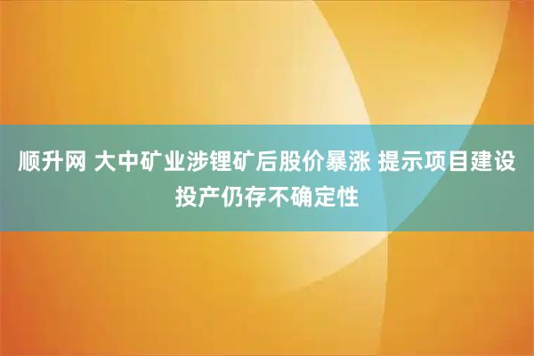 顺升网 大中矿业涉锂矿后股价暴涨 提示项目建设投产仍存不确定性