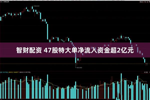 智财配资 47股特大单净流入资金超2亿元